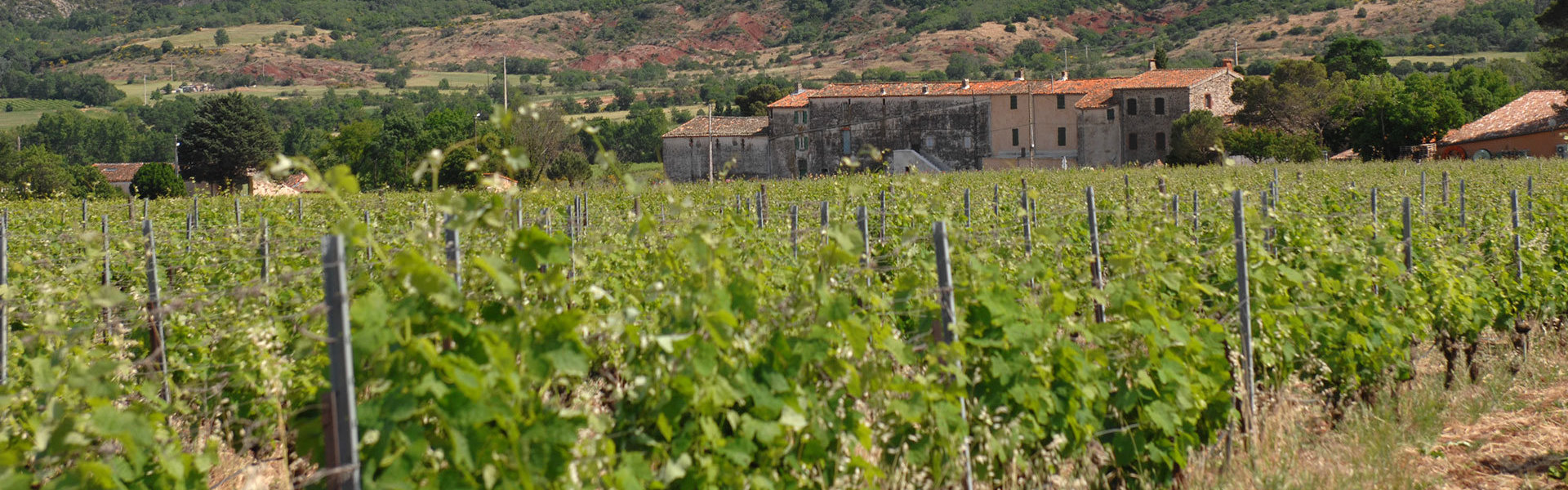 Découvrez le Domaine Malavieille et le Mas de Bertrand, producteurs de vin reconnus dans l'Hérault (34)